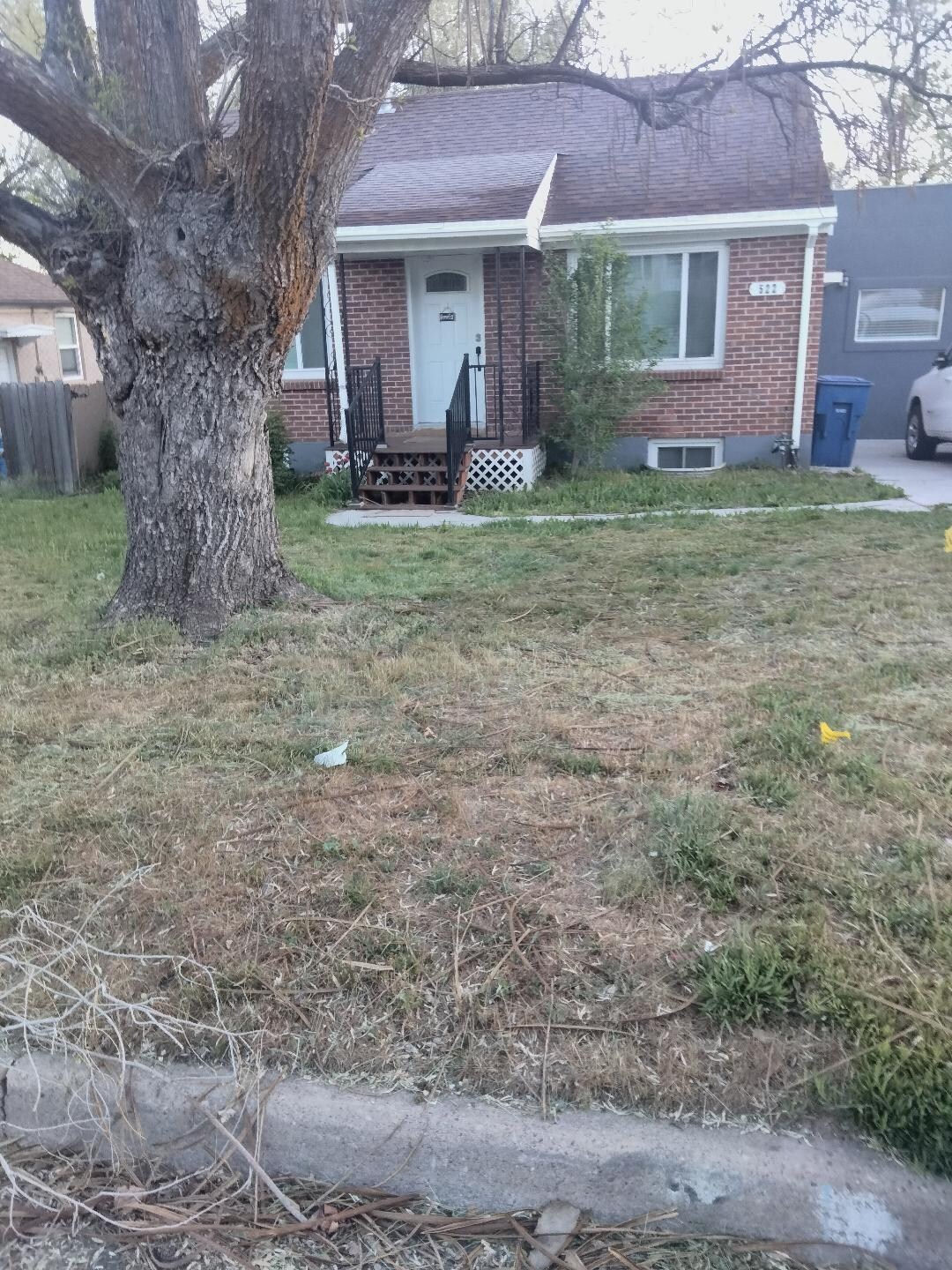 House with overgrown weeds