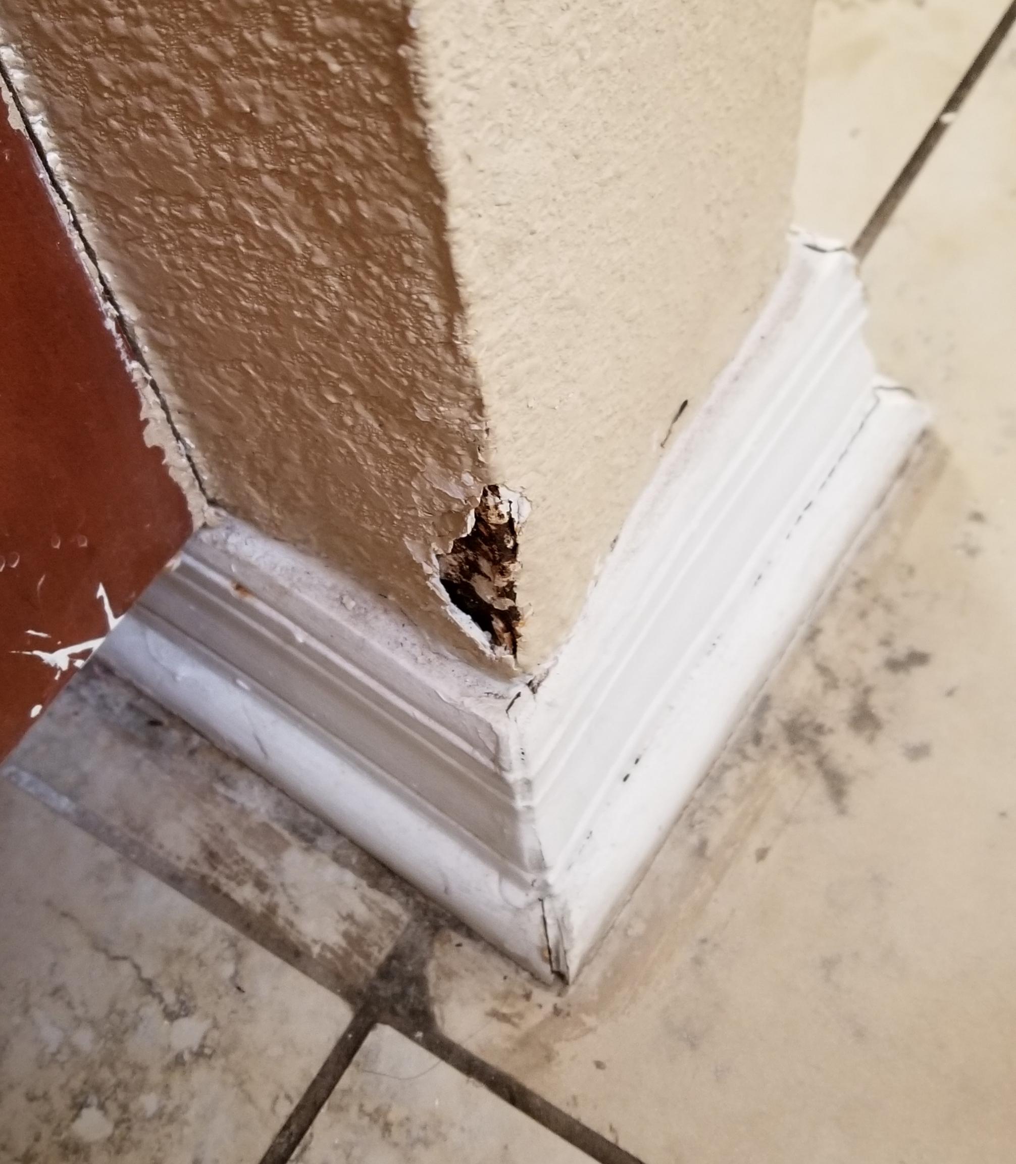 Outside if shower, smelled terrible like mold