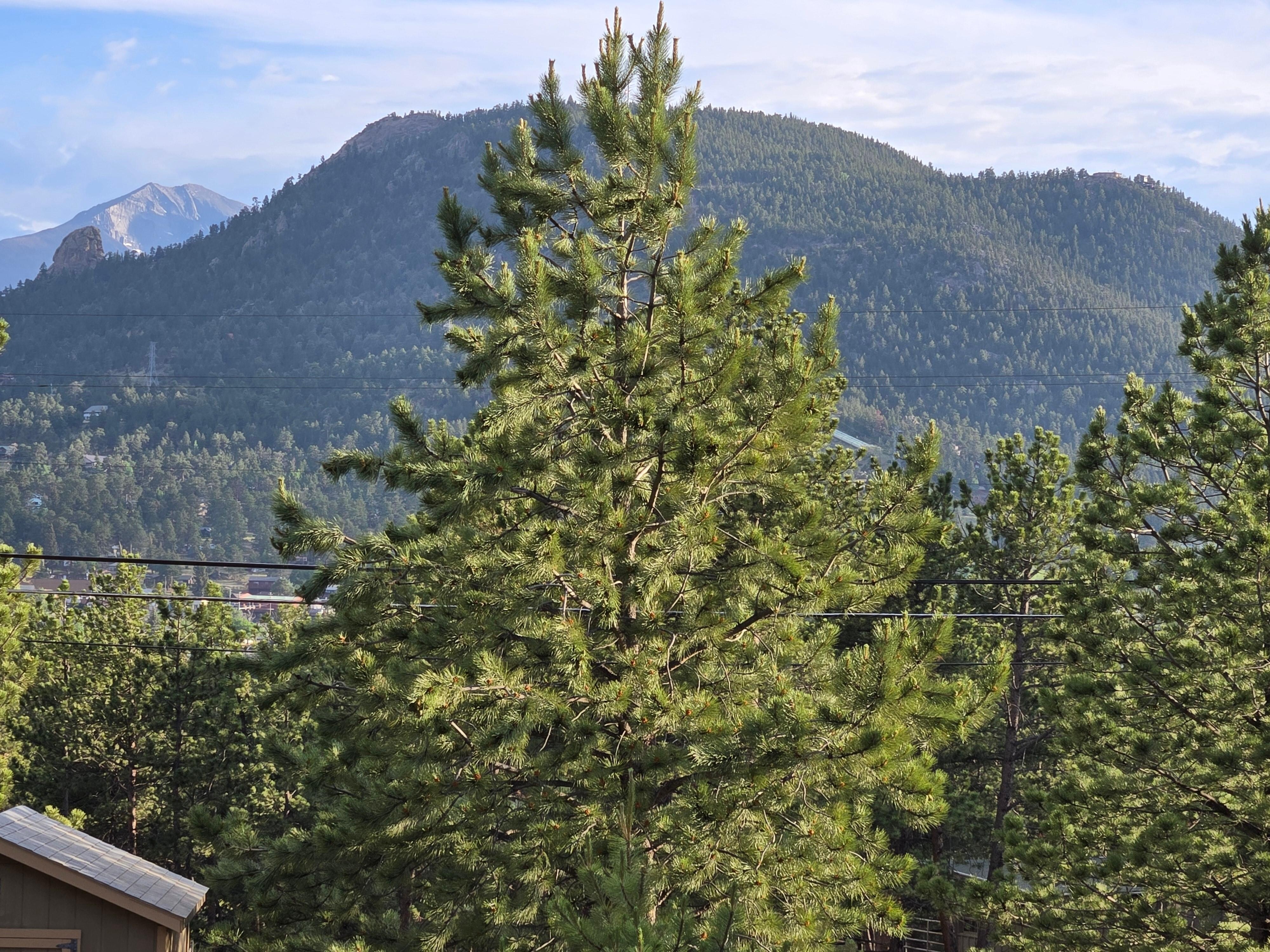 Beautiful view from our balcony.