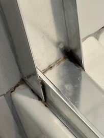 mold in shower