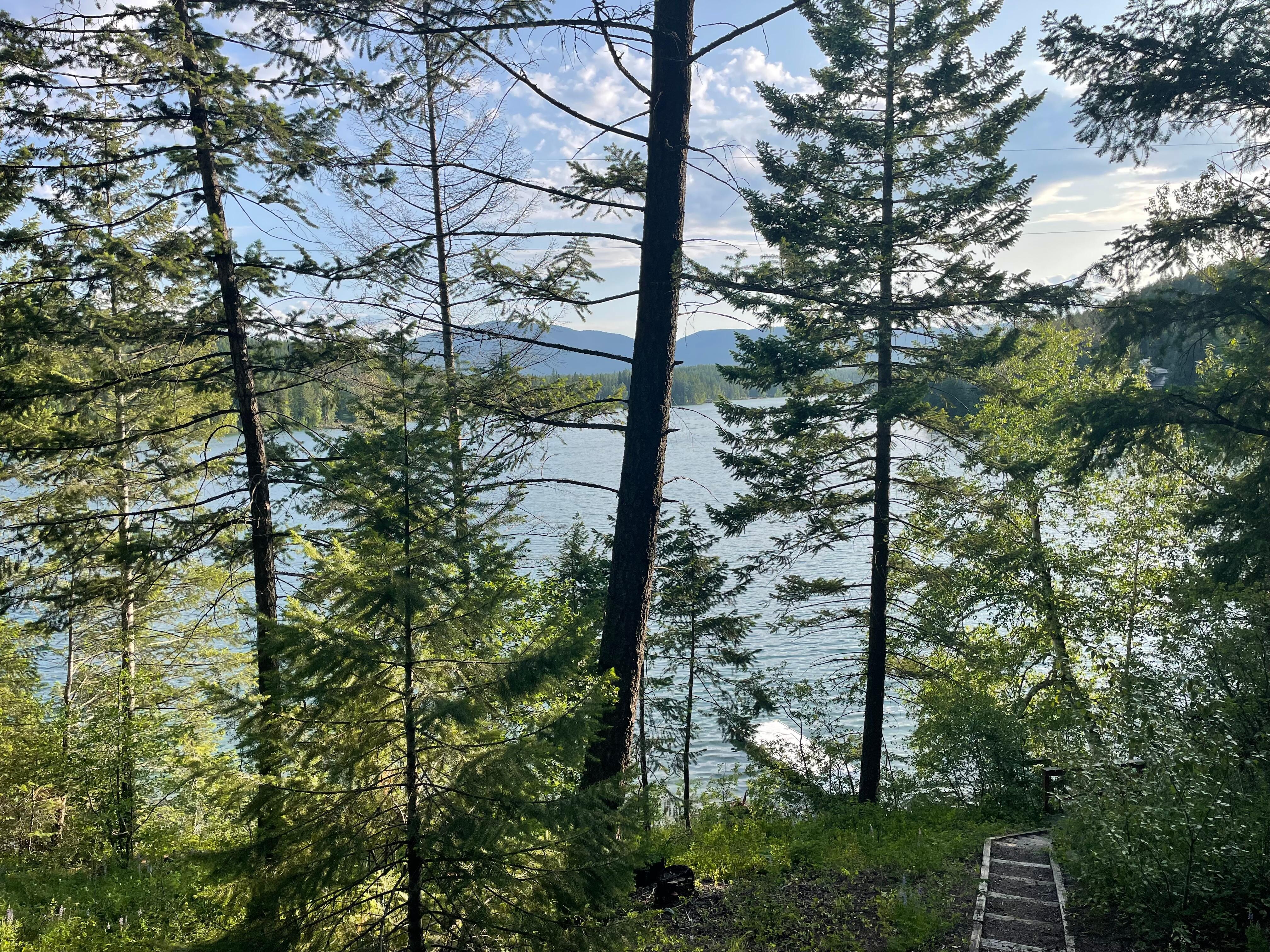 View from porch