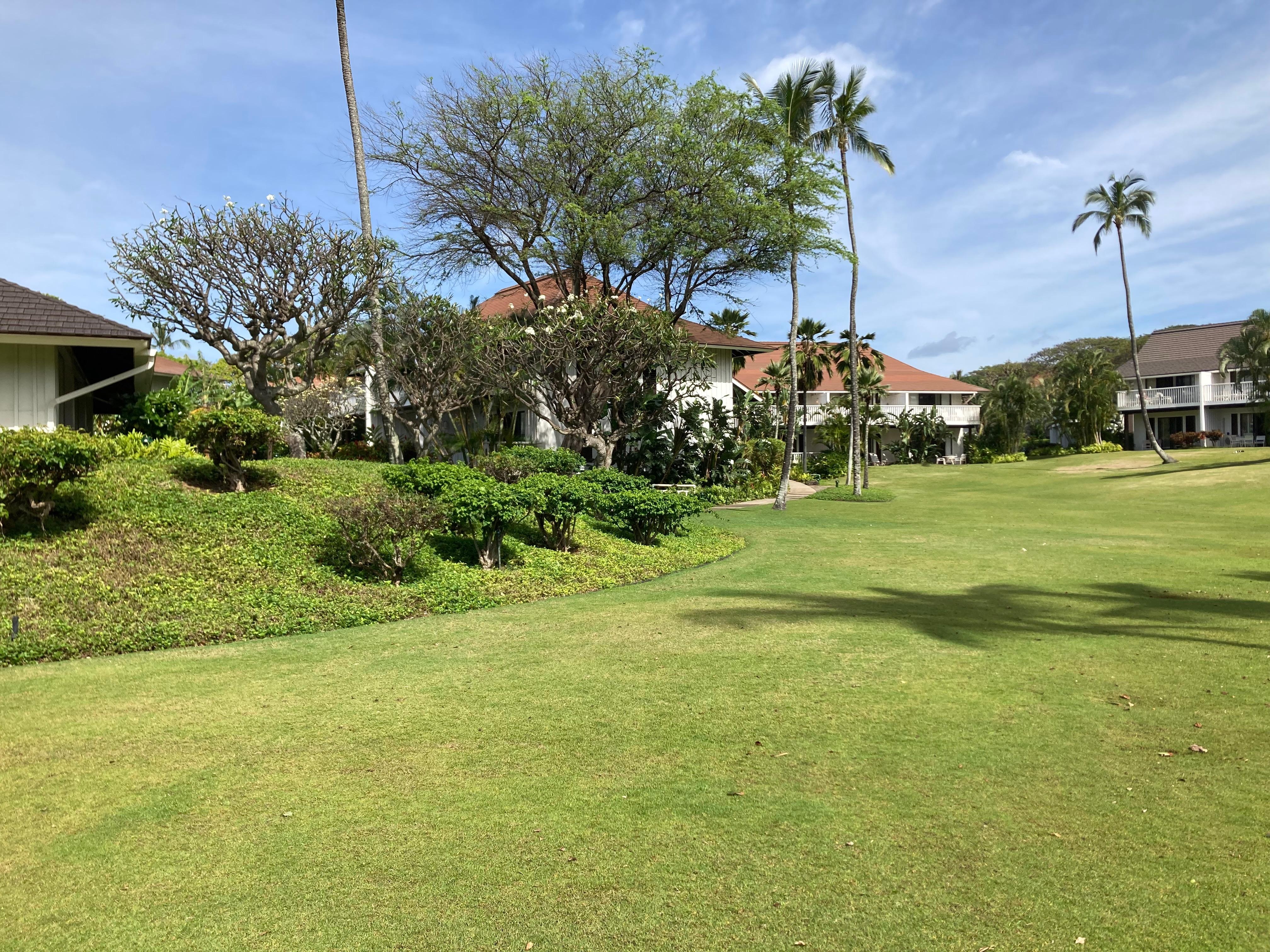 On the way to the condo on the property 