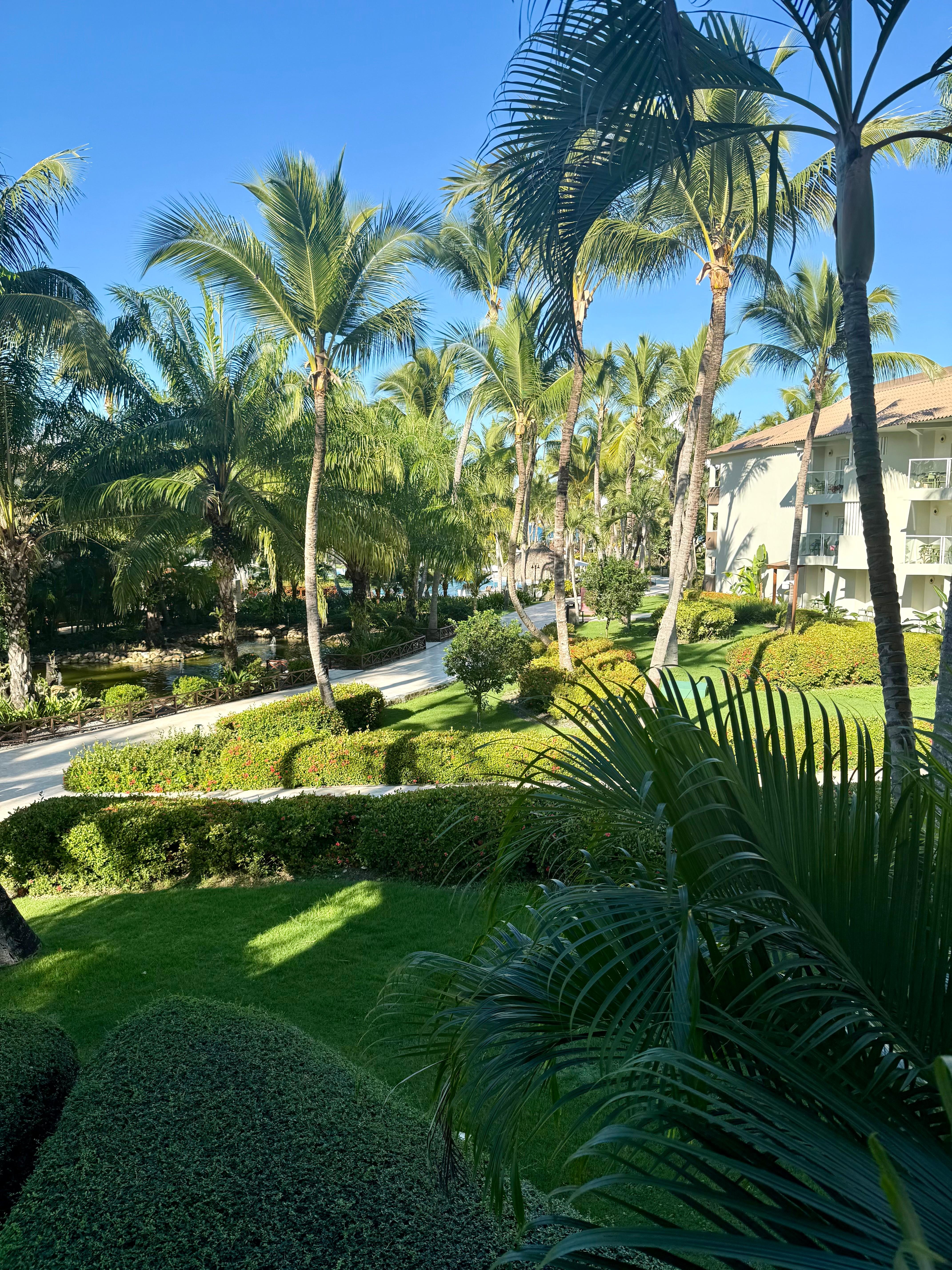 View from hotel room.