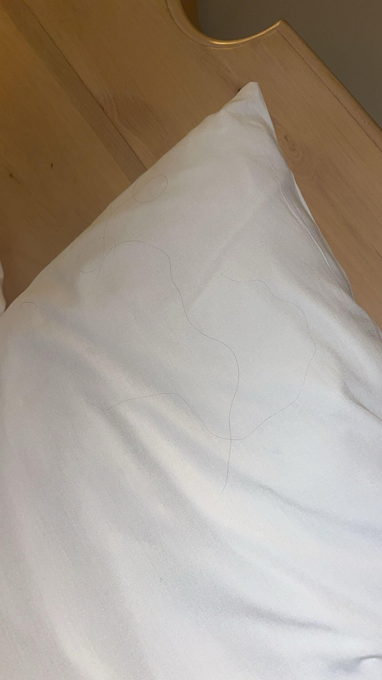 À notre arrivé il y avait pleins de cheveux sur l'oreiller. Nous avons demander à faire changer les draps et il y en a toujours autant. 