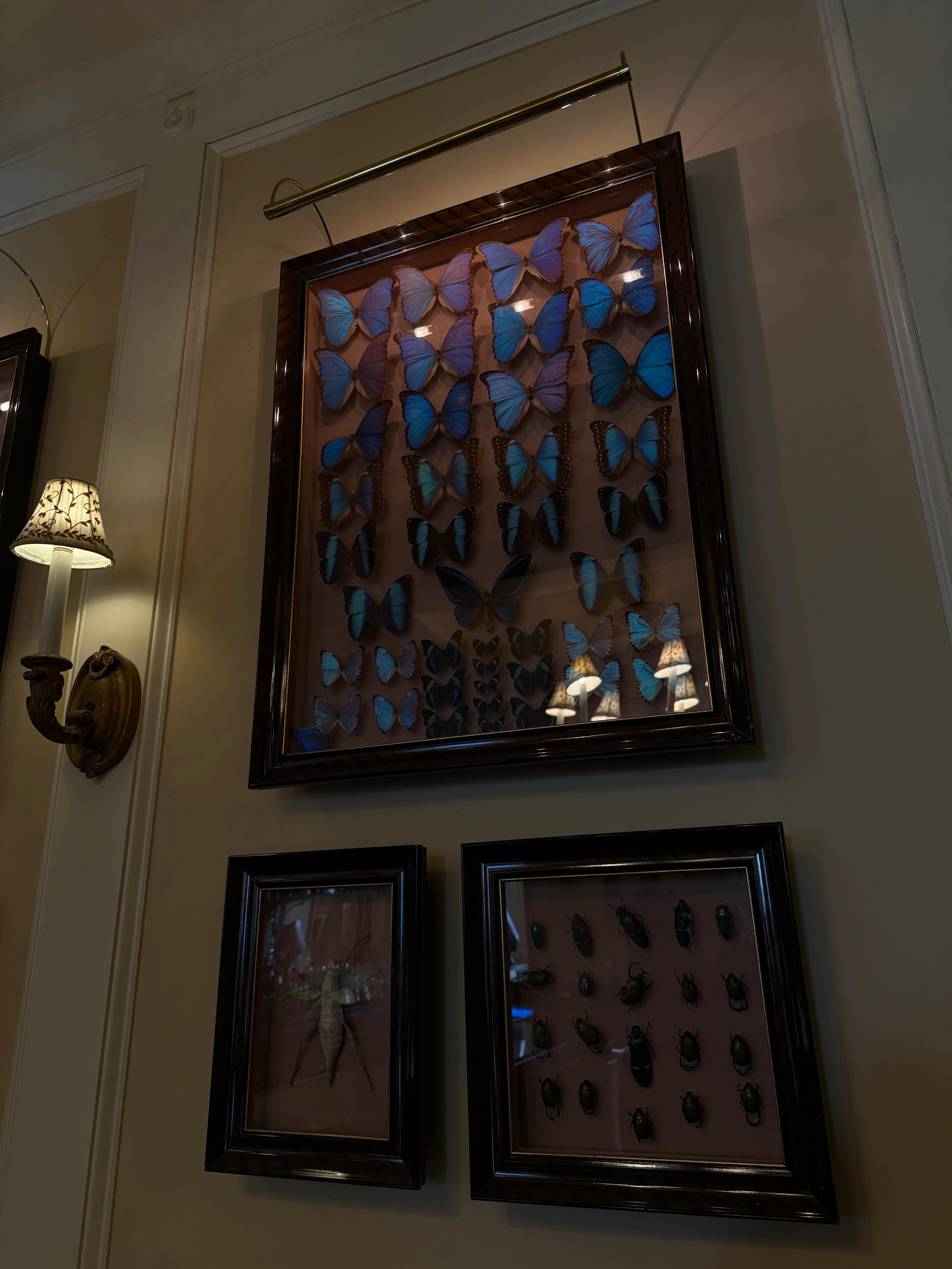 butterfly lounge & bar 