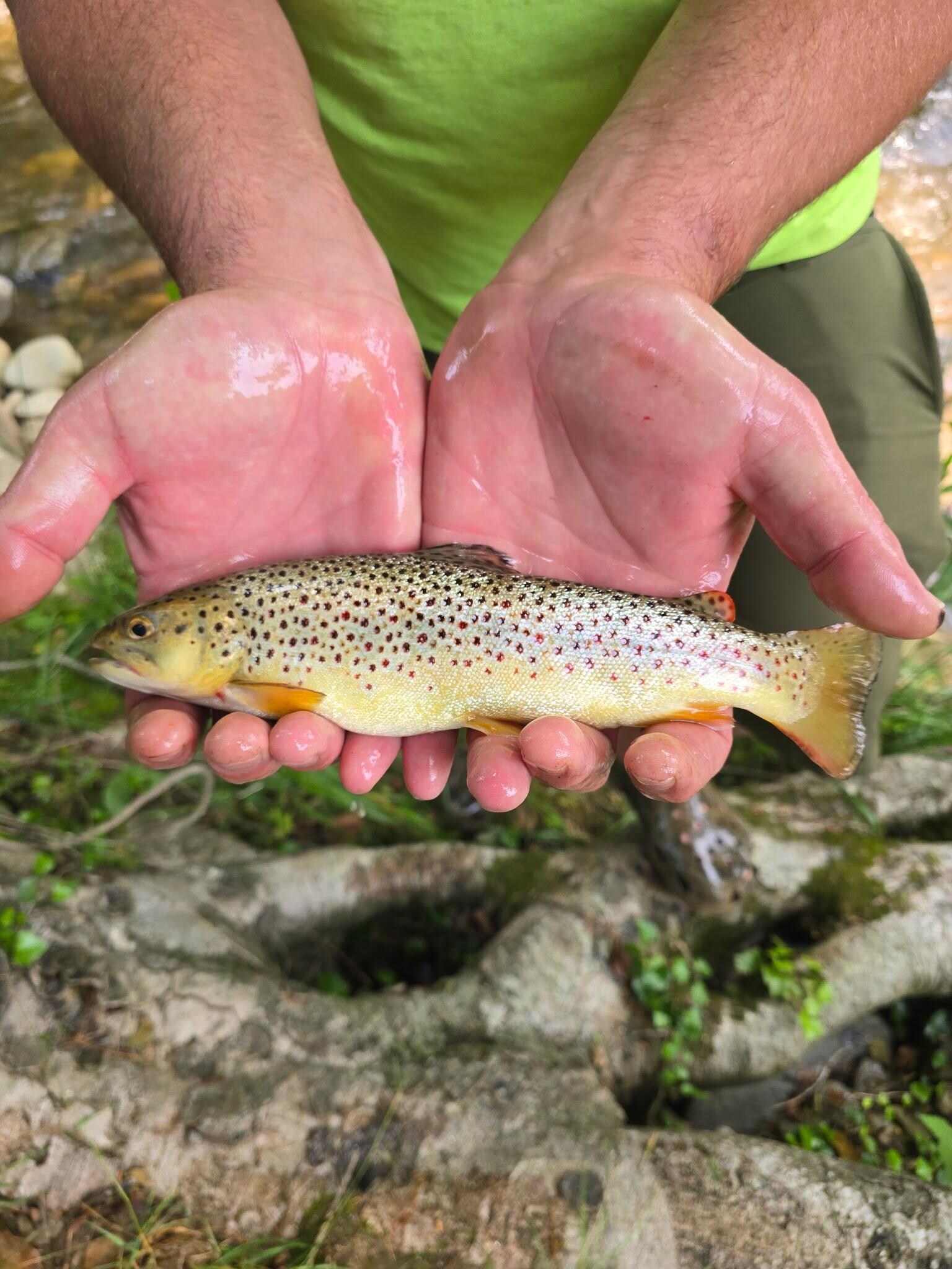 Great fishing right off the back porch 