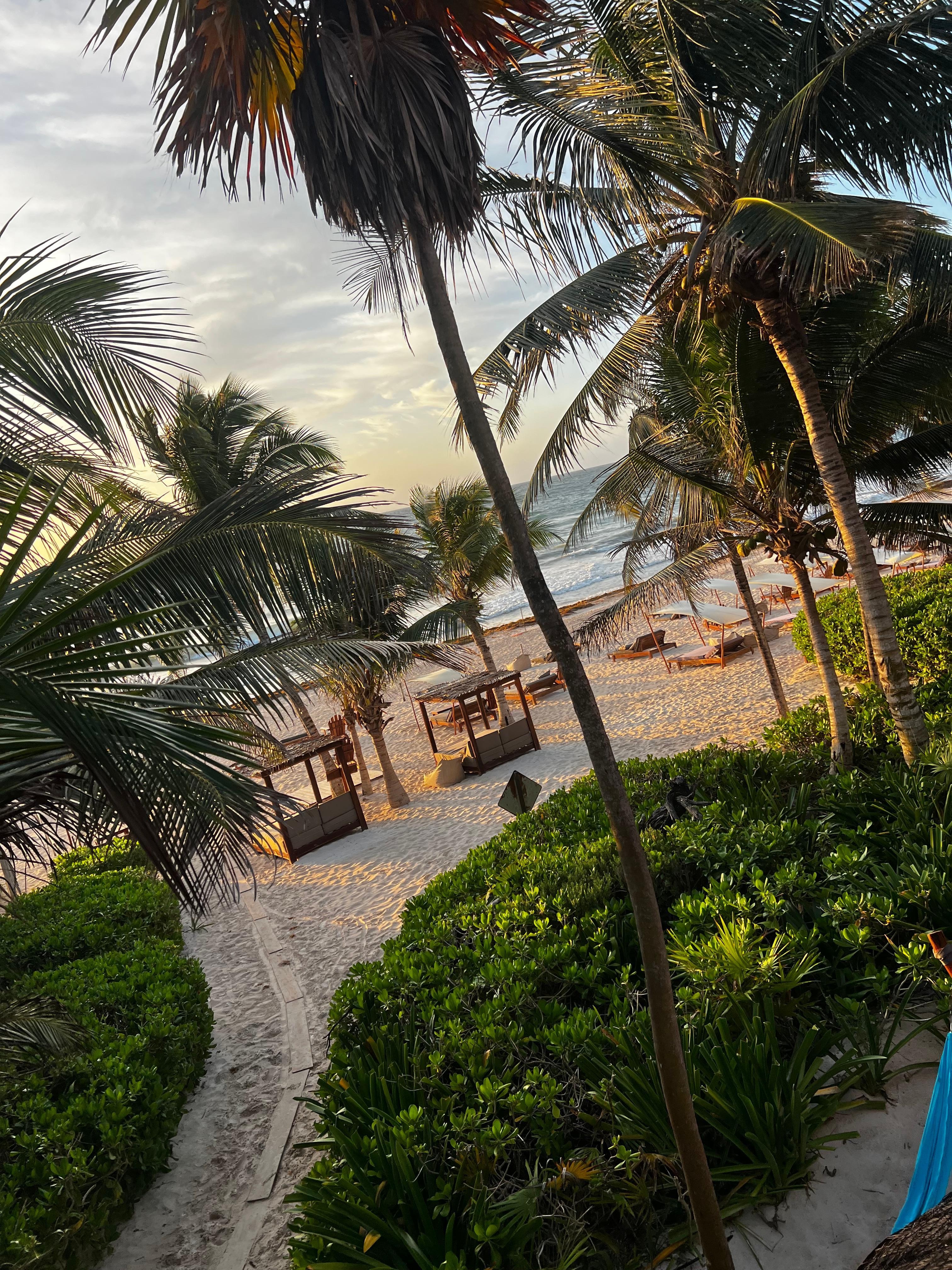 View from upper room.