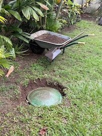 Holes in the yard