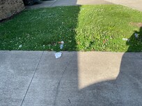 and more trash