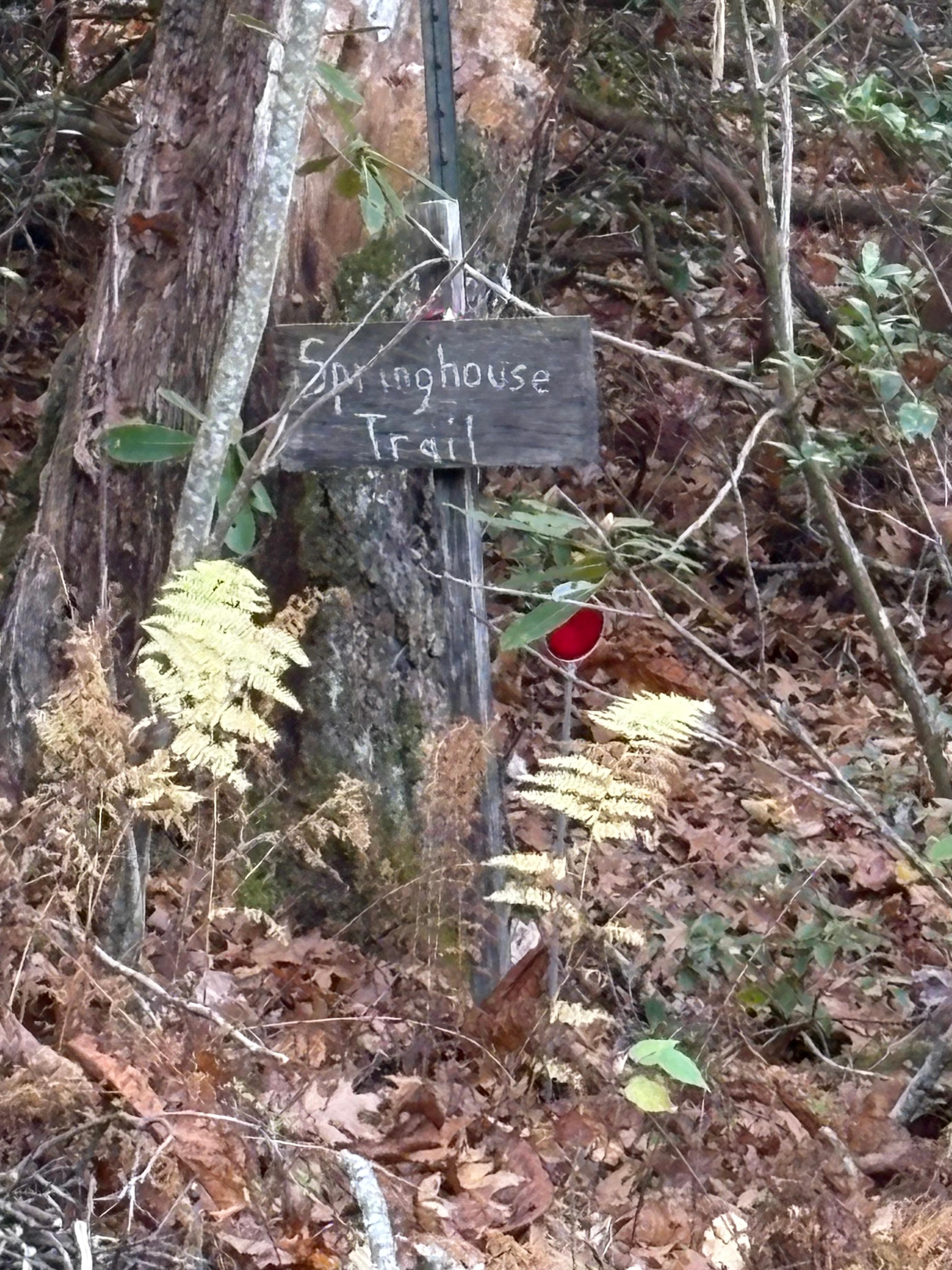Lovely short walk to spring from back porch. 