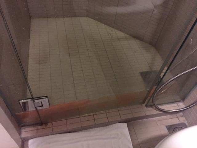 those black dots are fruit flies in bathroom