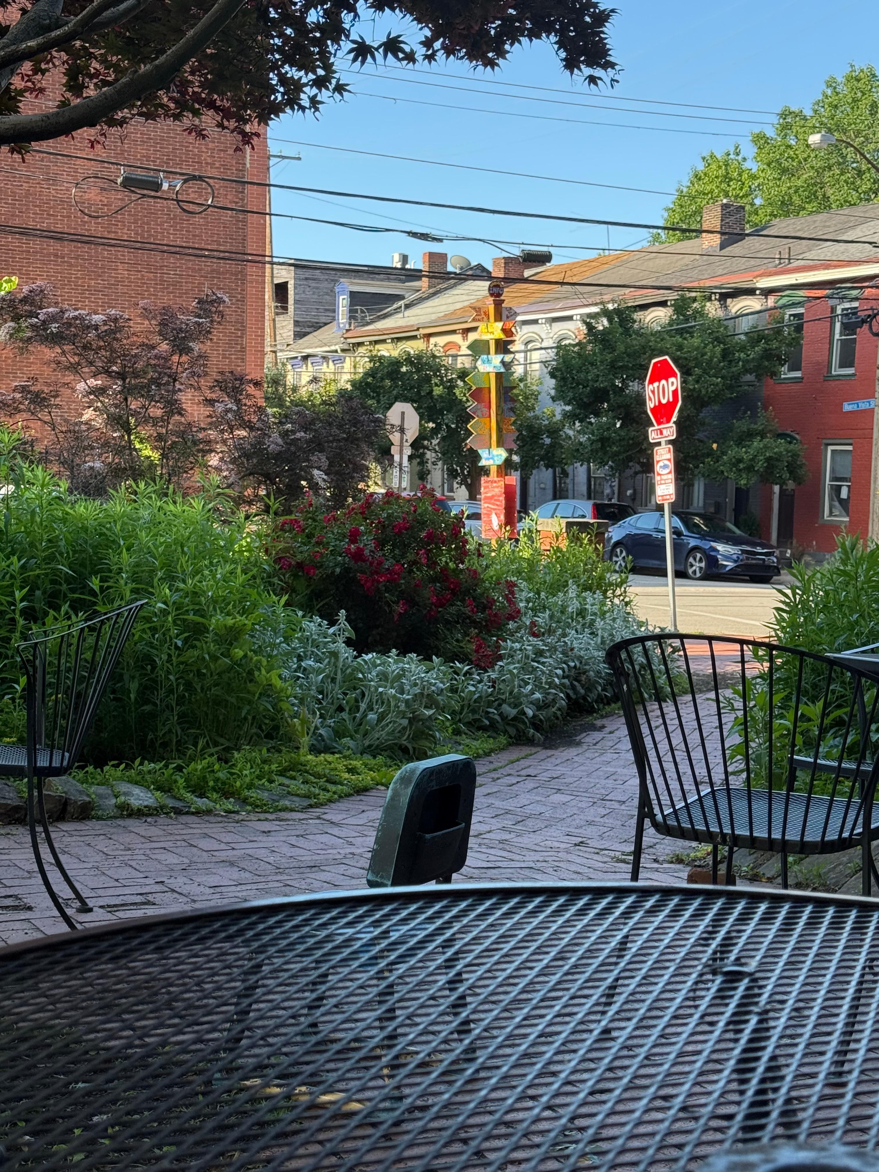 Very nice local coffee shop in the area.