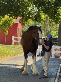 Grant’s farm.  It’s a good day trip