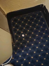 ONE of the alcohol caps that was all through the room