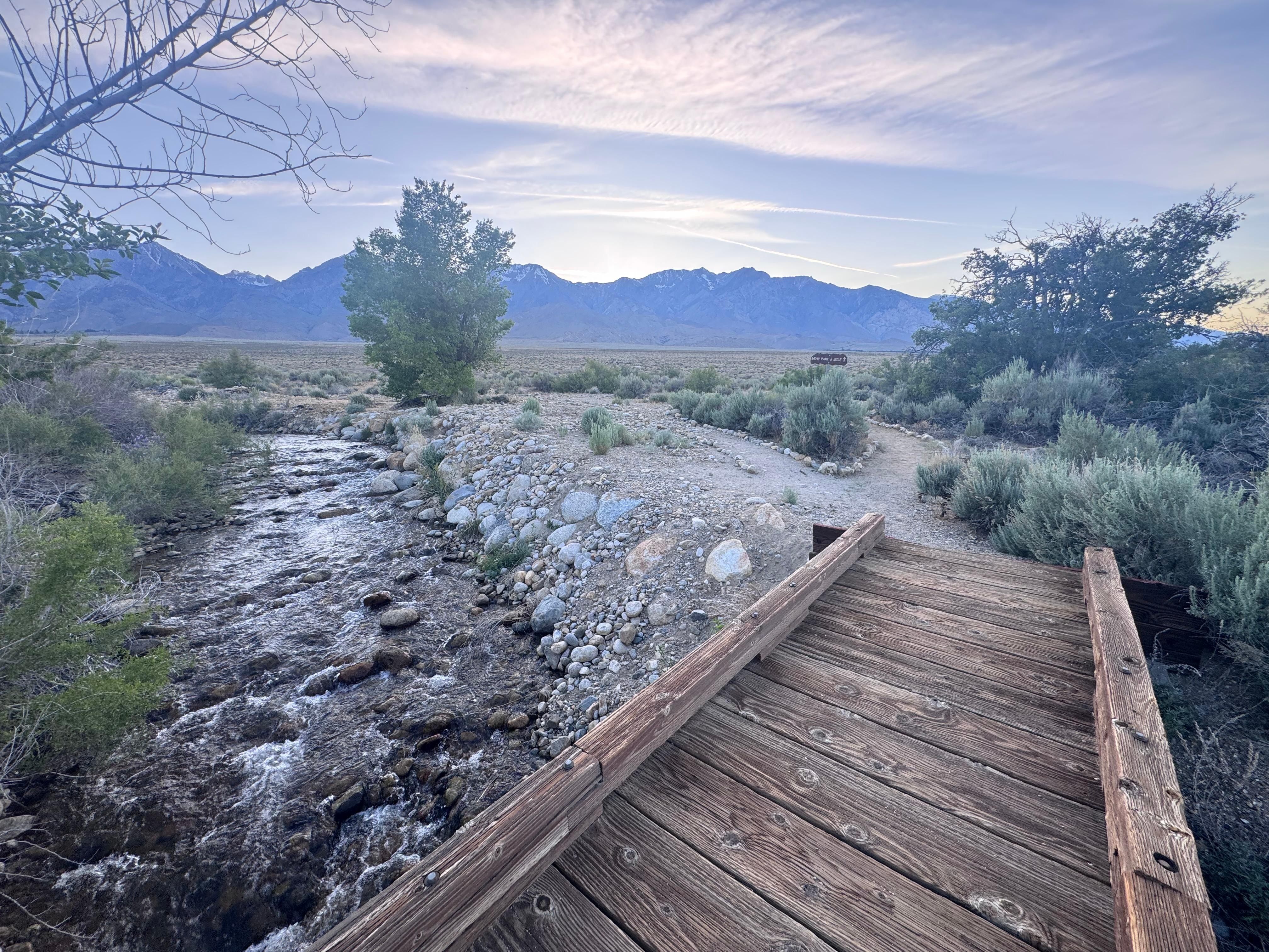 Little hike behind property 