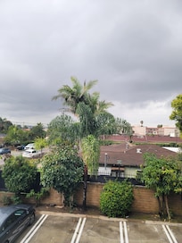 The view from my window.