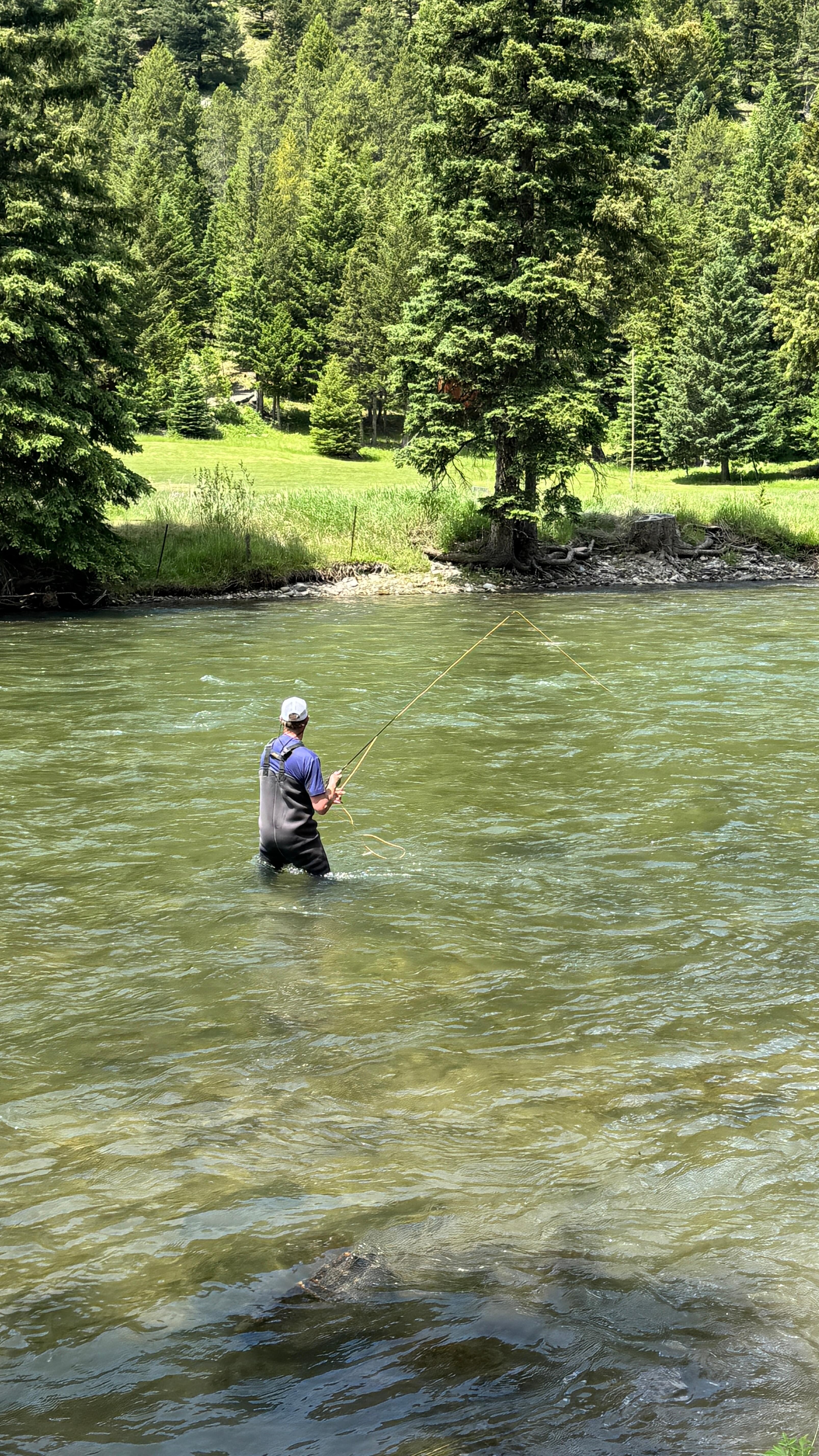 Fishing by the house. Picture take from the porch. 