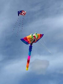 Kites being flown on beach