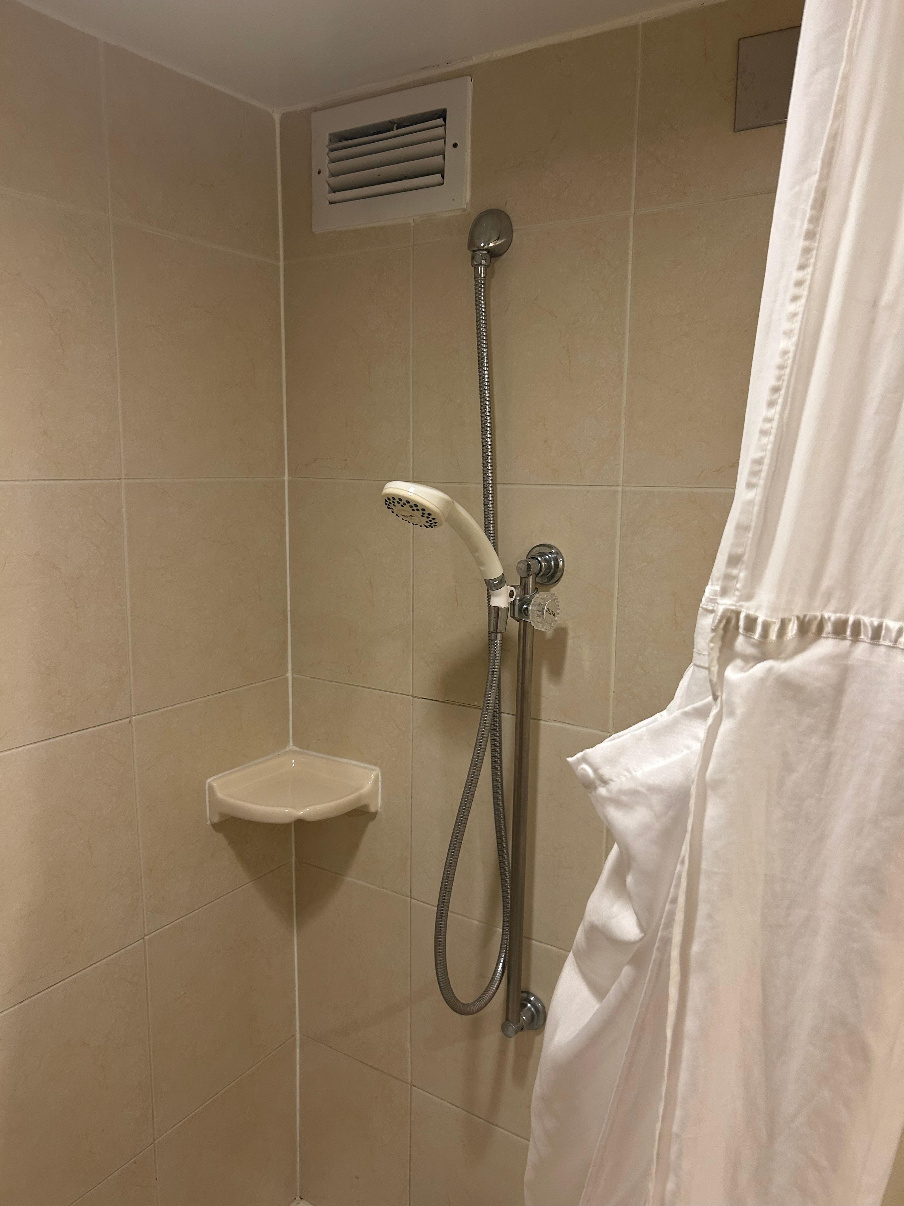 Shower for the vertically challenged