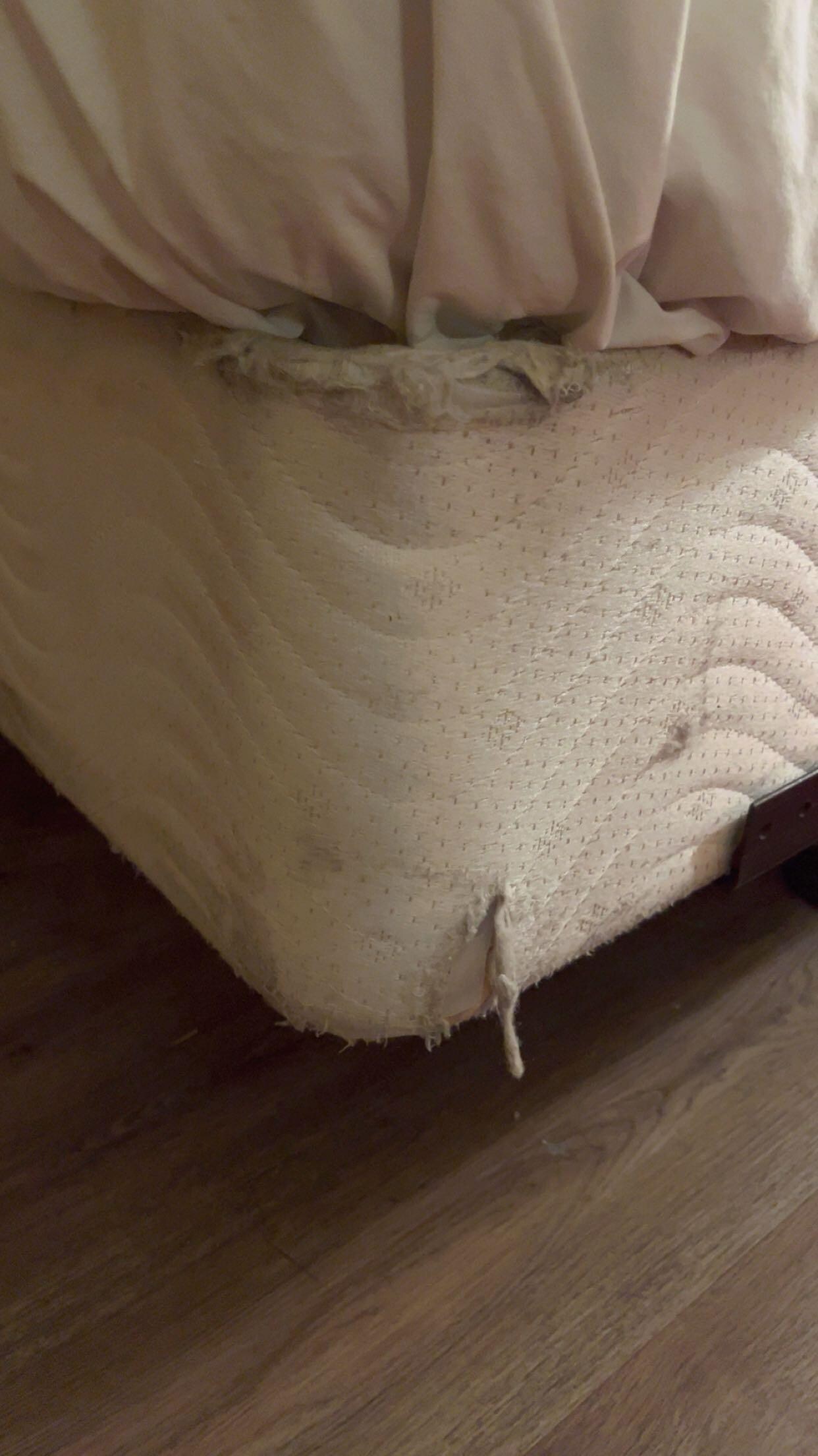 Mattress was dirty and torn, horrible condition