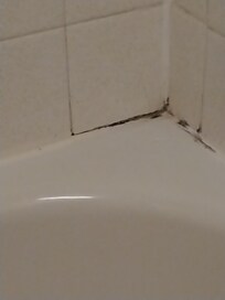 Mold