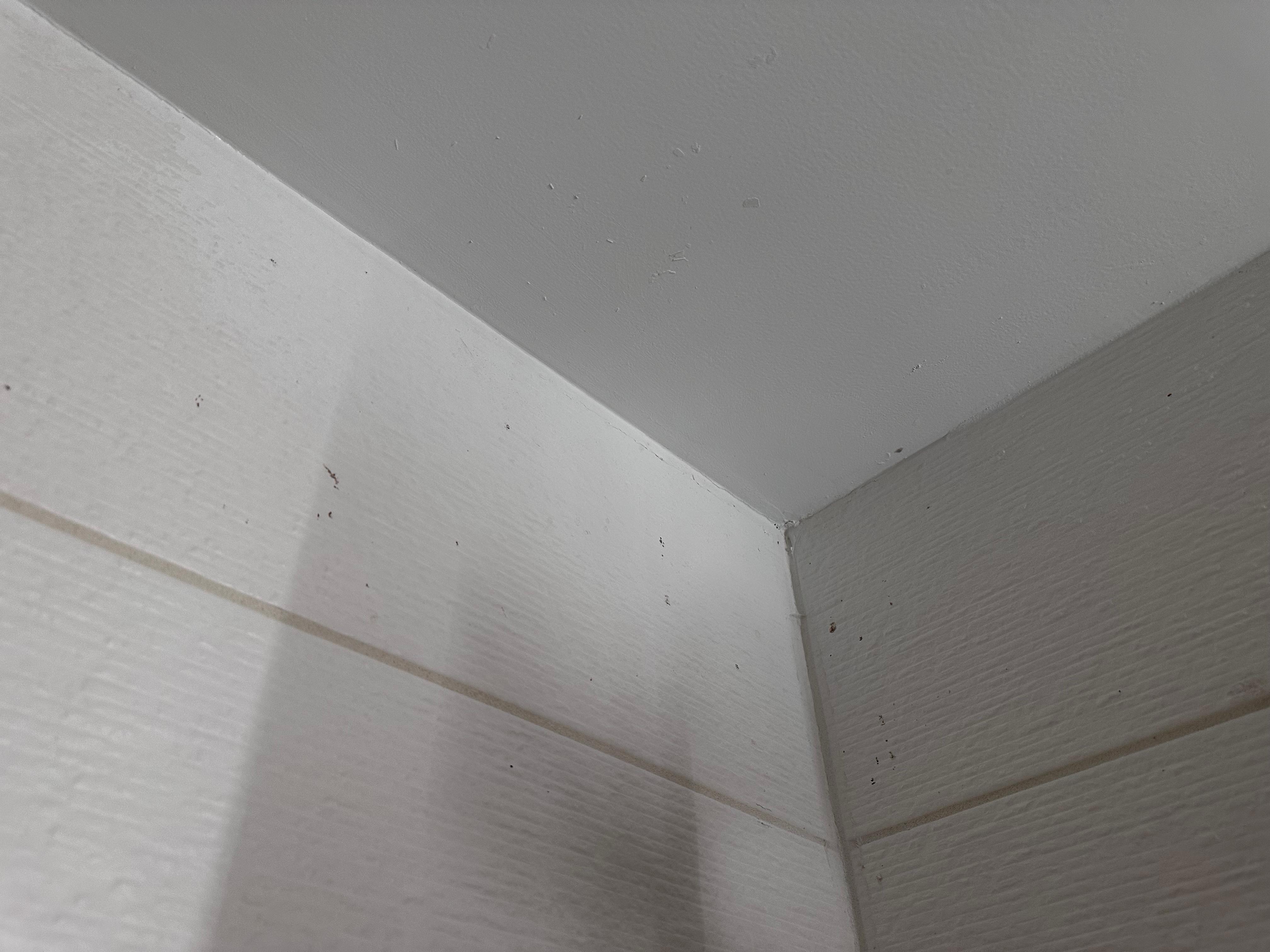 Mold in bathroom ceiling