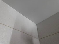 Mold in bathroom ceiling
