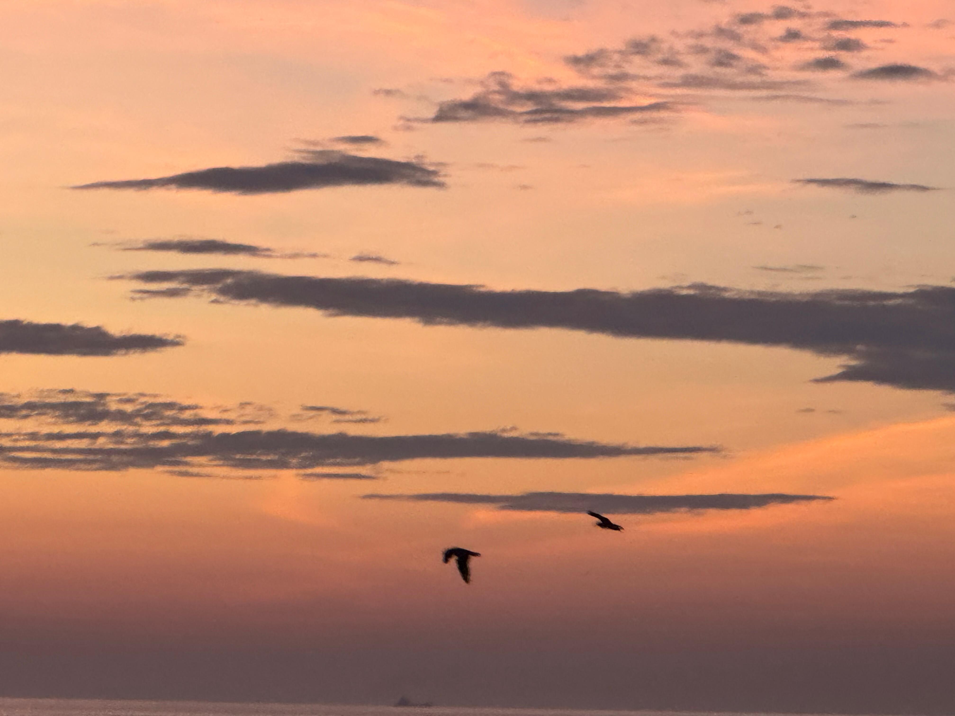Ocean sunrise
