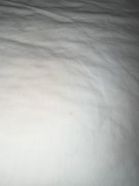One of the 2 yellow/orange spots on our bed.