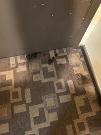 Stained carpet