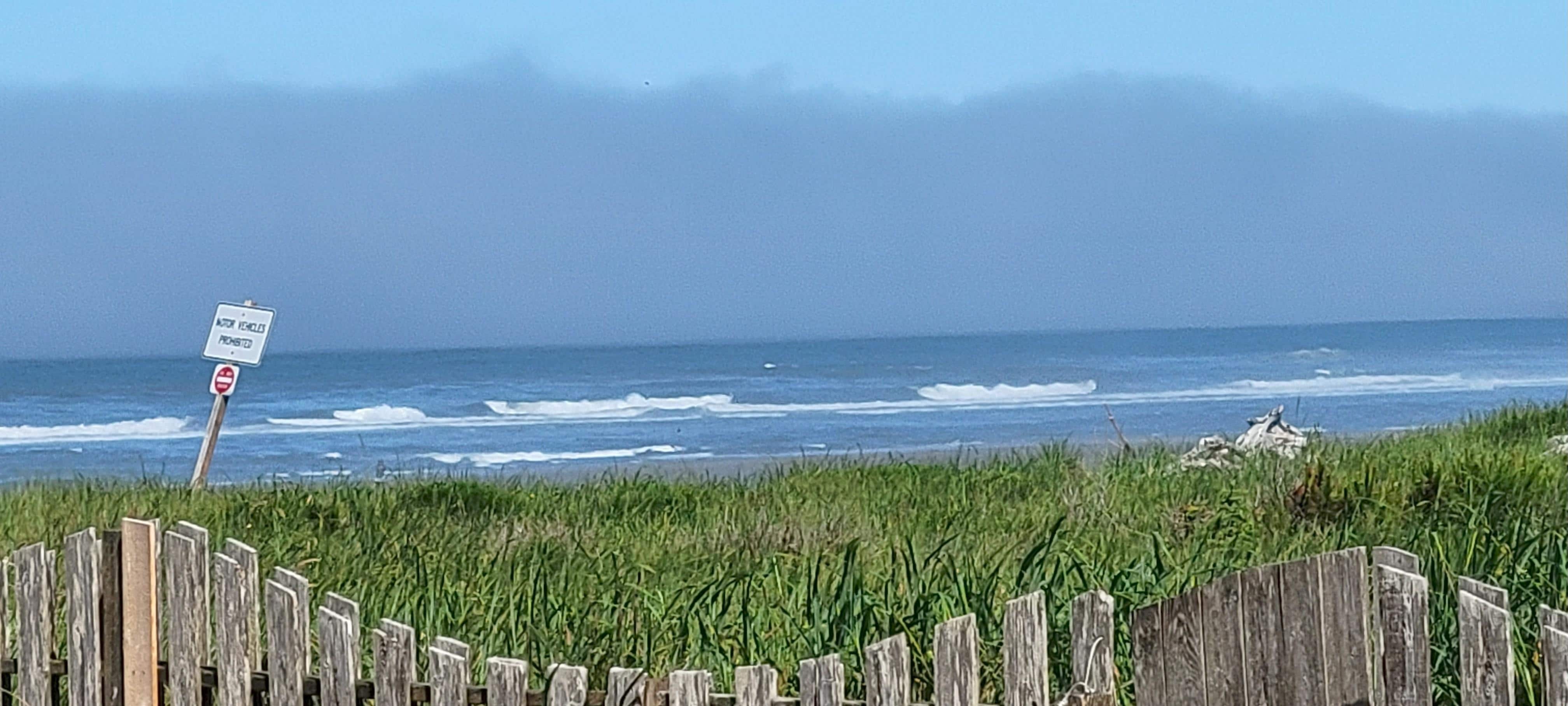 From the covered patio