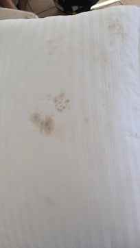 Fungus on pillows and floor was sticky and black