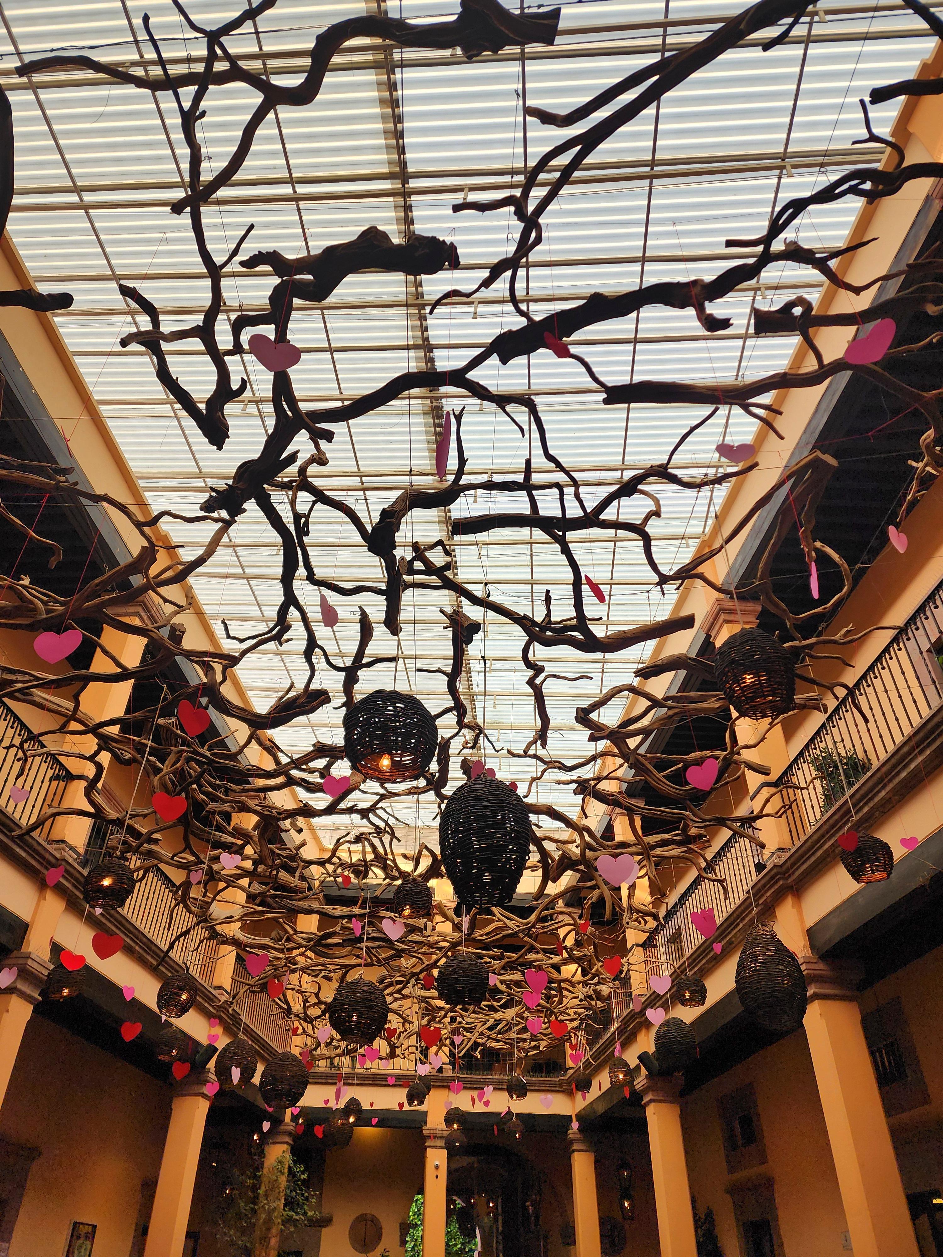 Restaurant ceiling 