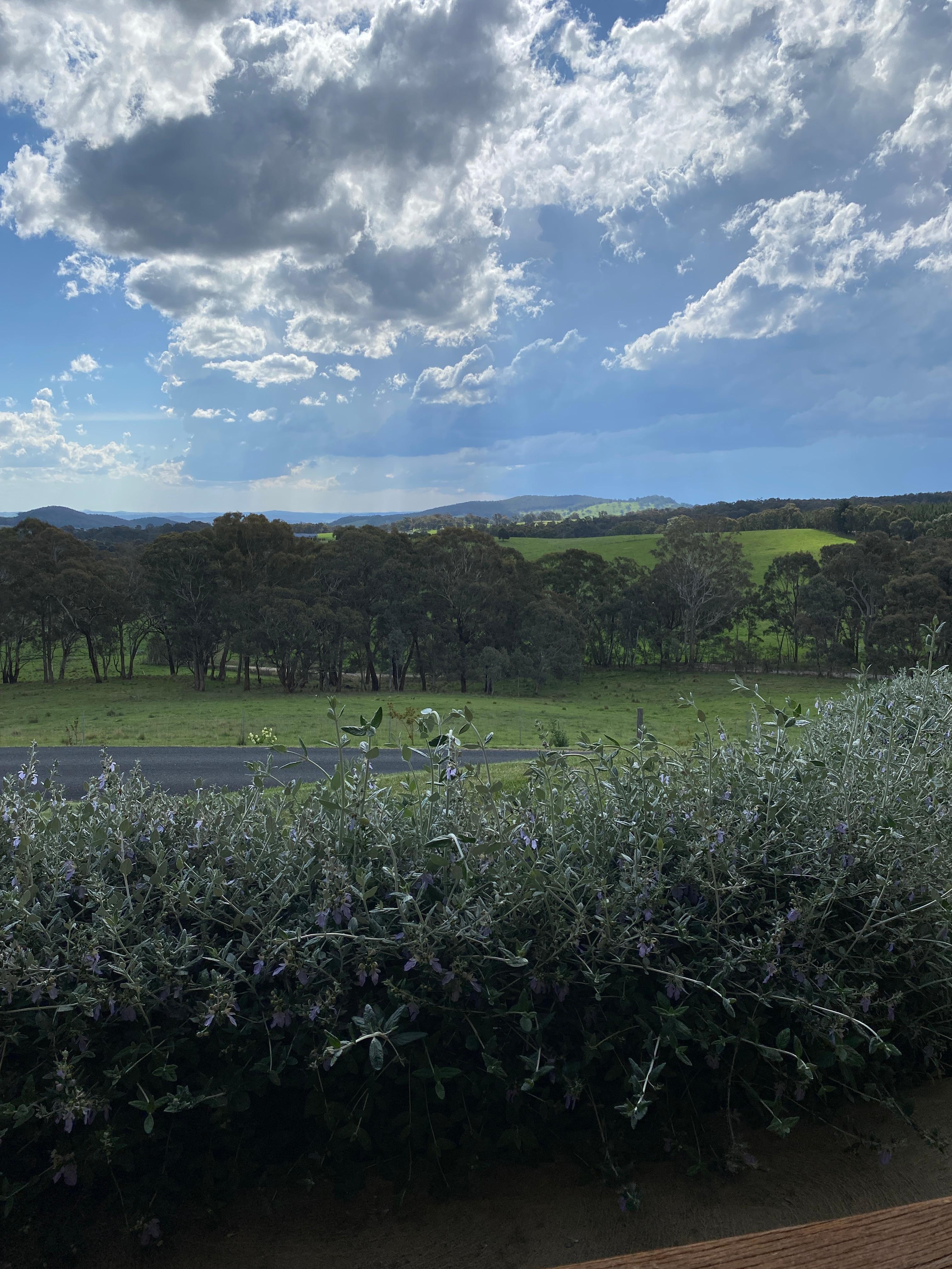 View from front verandah