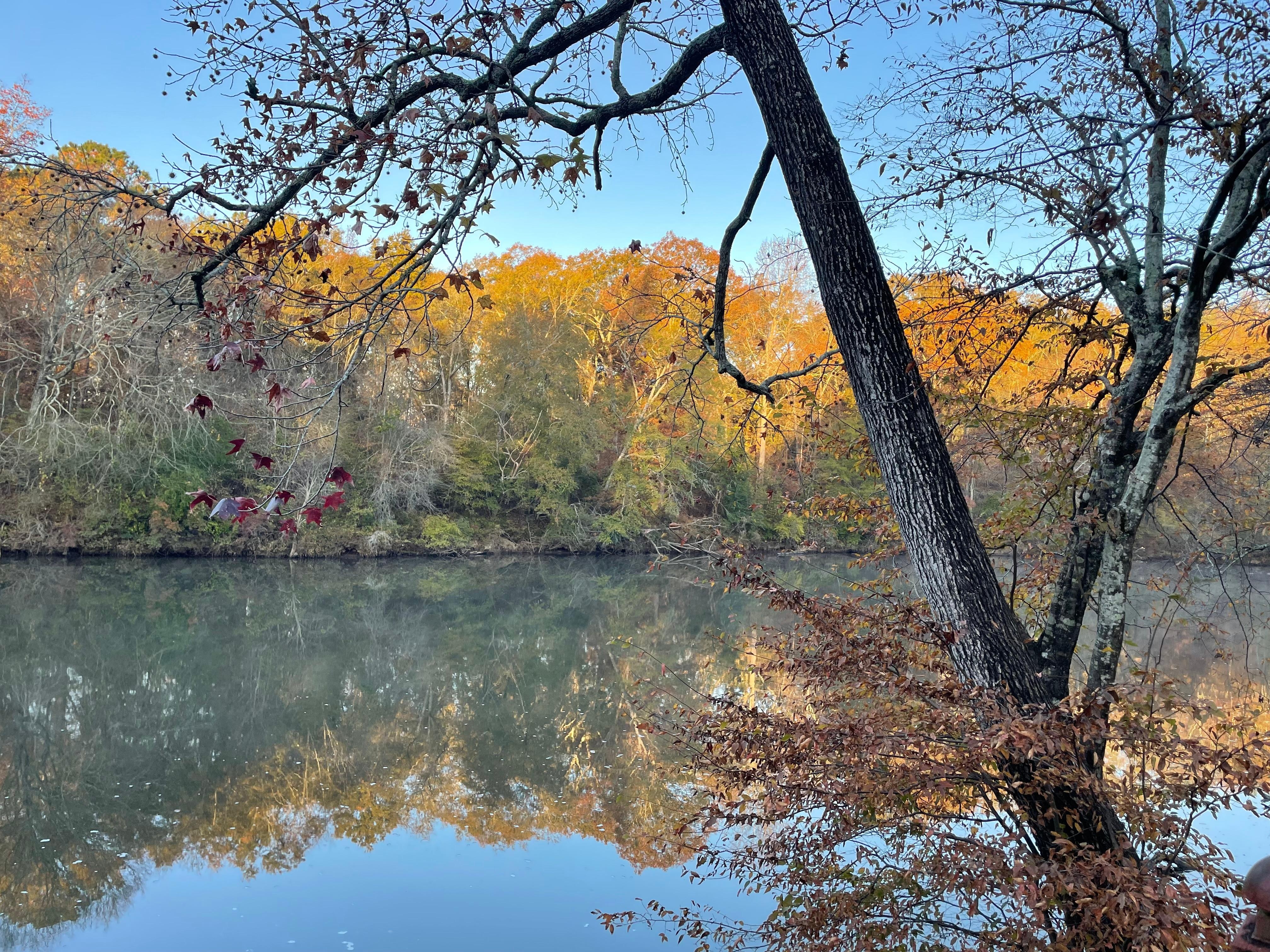 Beautiful and peaceful down by the river. 
