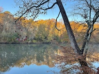 Beautiful and peaceful down by the river.