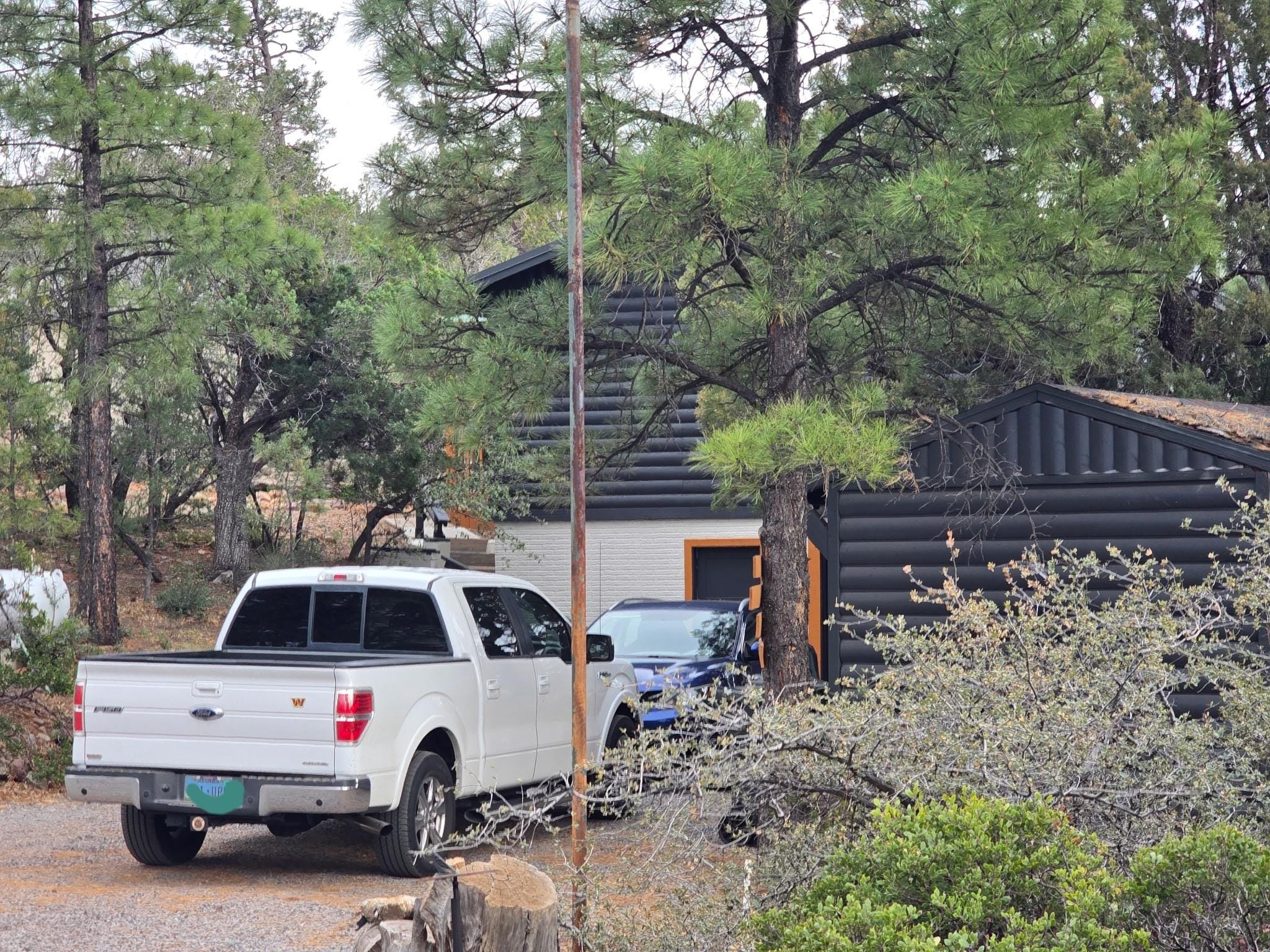 Lovely wooded neighborhood but only 10 minutes from grocery store.