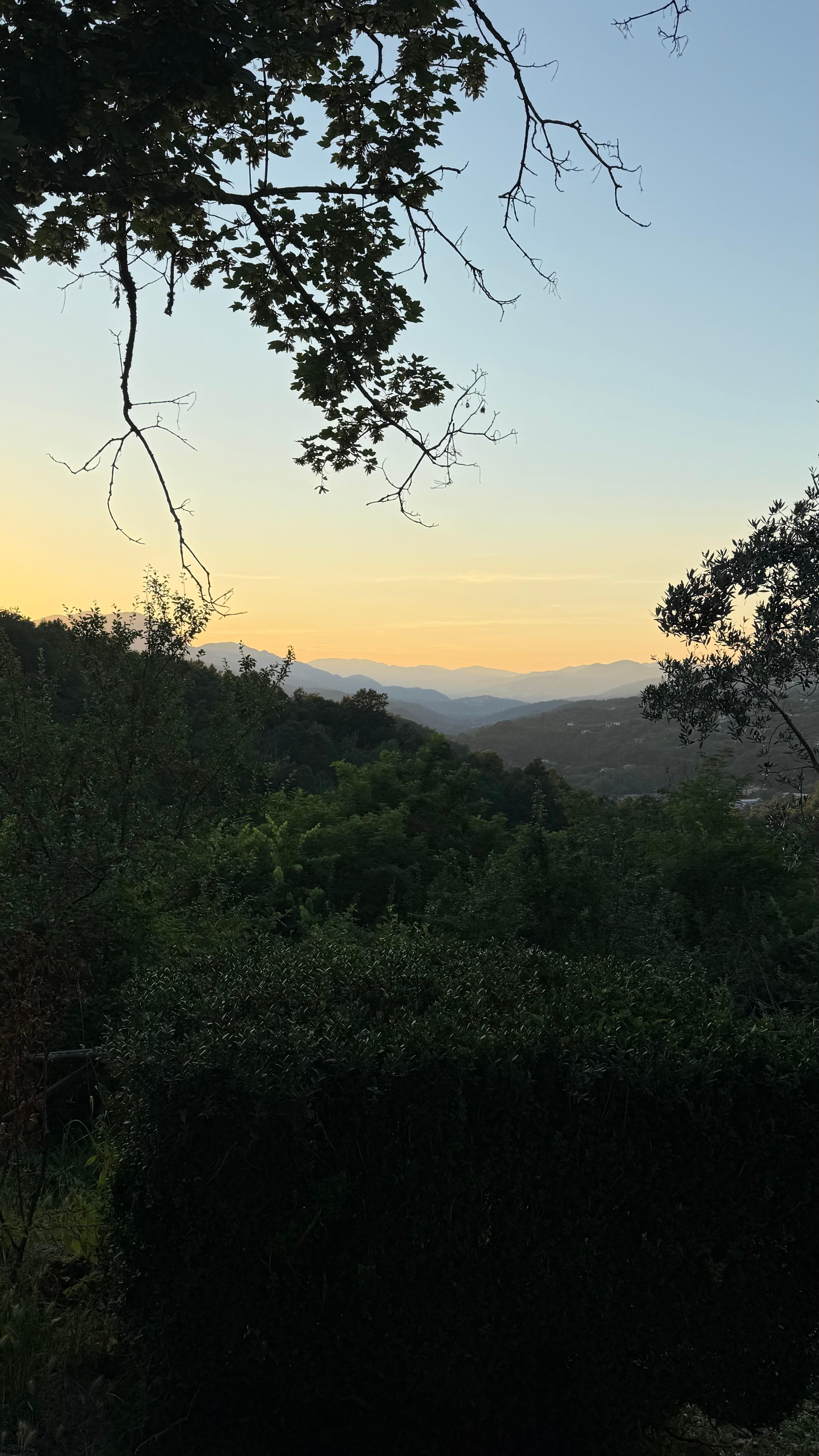Vue depuis le jardin