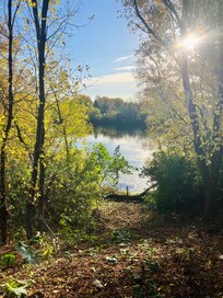 Lakeside view