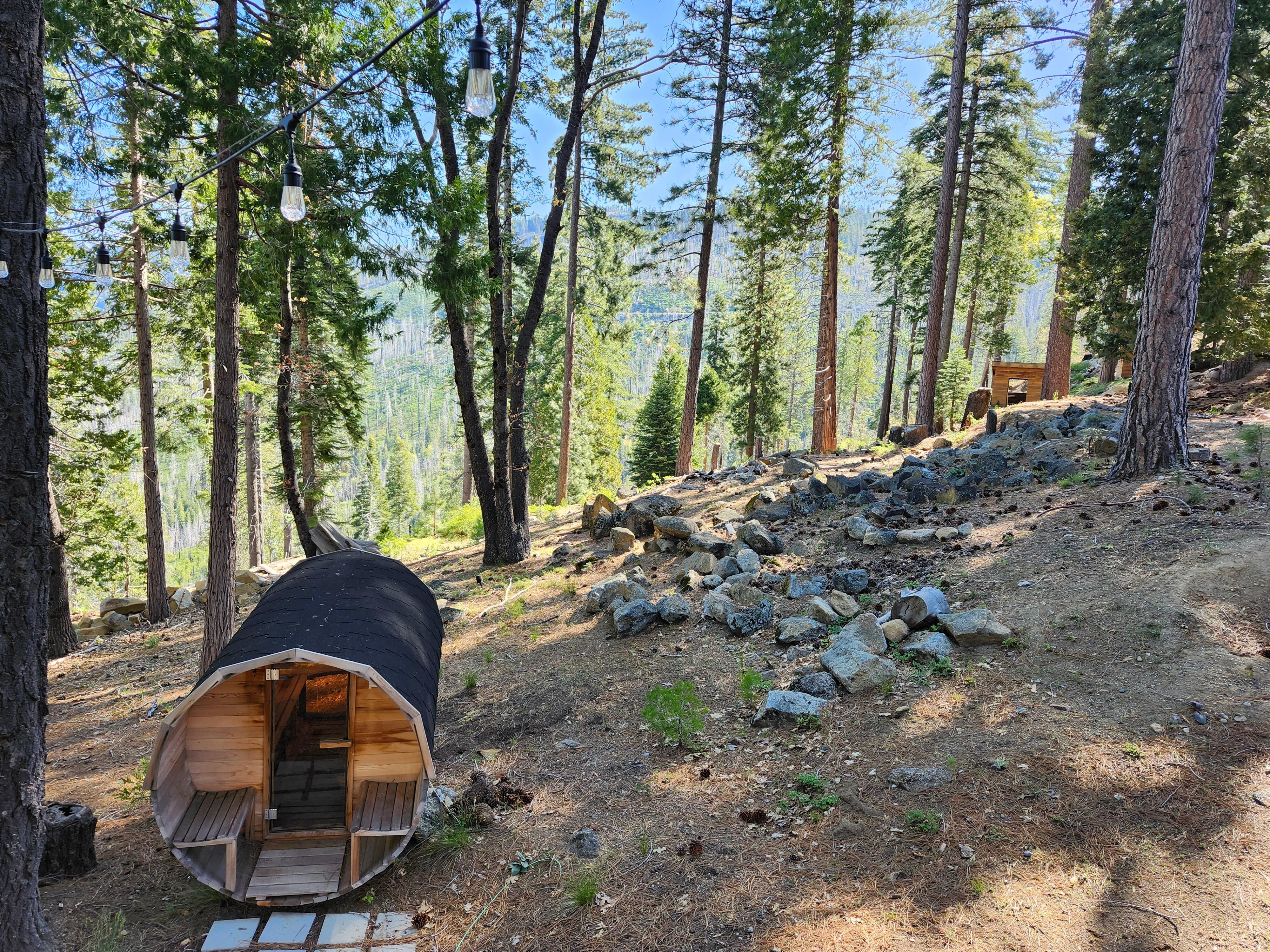 View from back porch