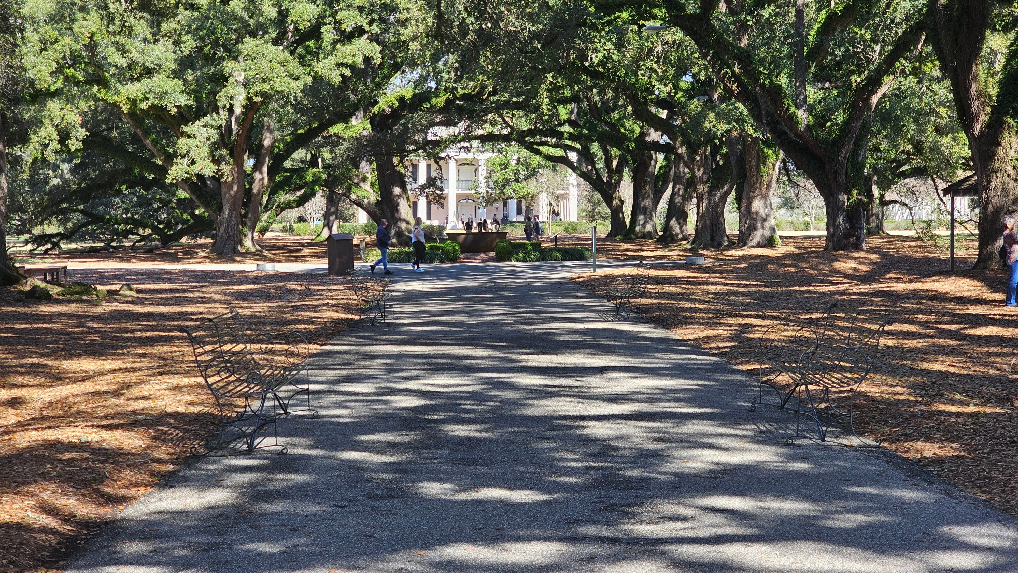 Oak Alley plantation, about 2 hr drive to Louisiana.