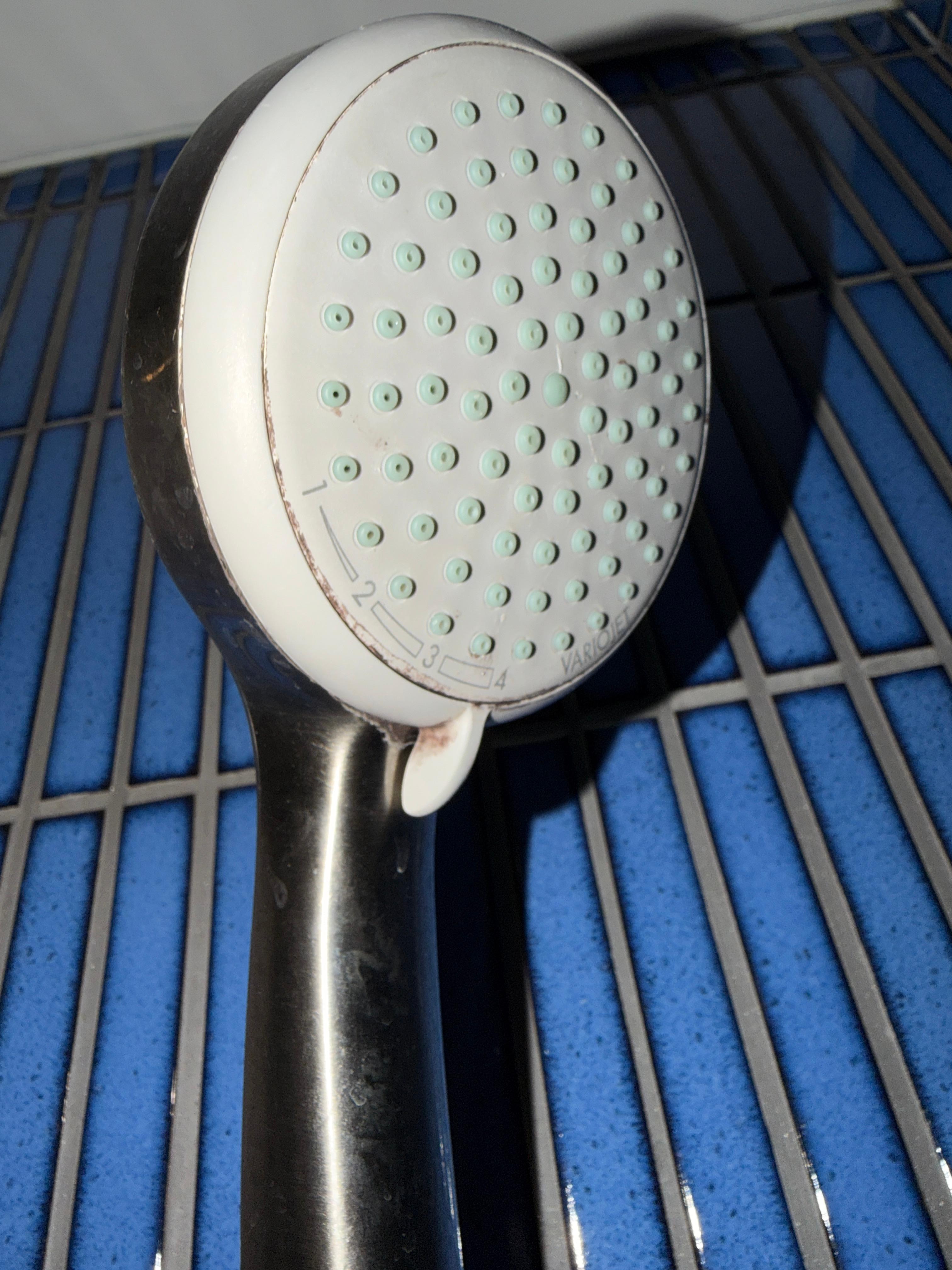 this was the rotting showerhead 🤮