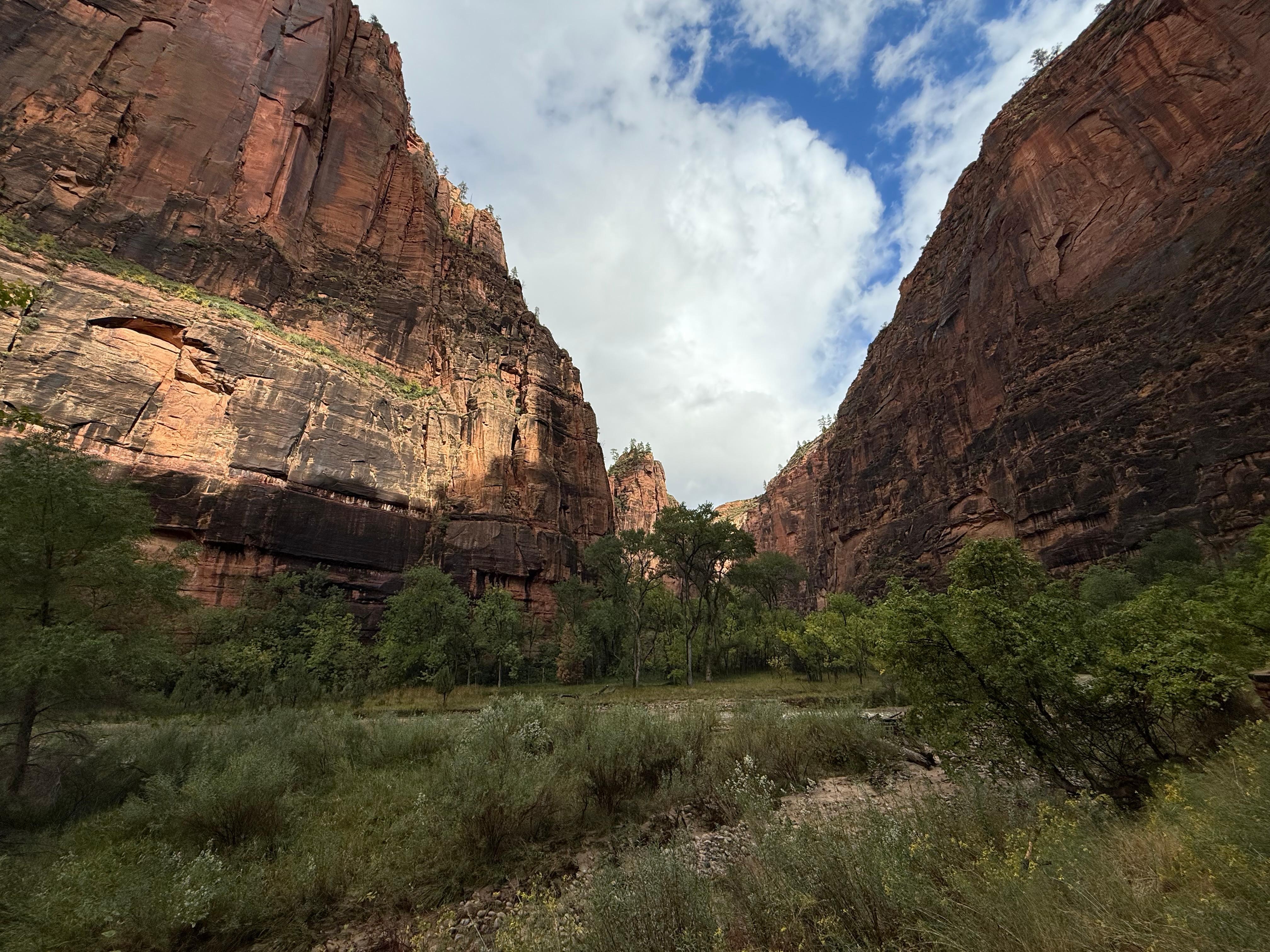 Walking the Zion River trail