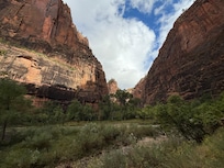 Walking the Zion River trail