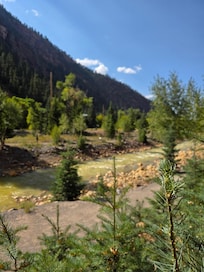 View from the back of my room