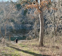 The path you see from house balcony!