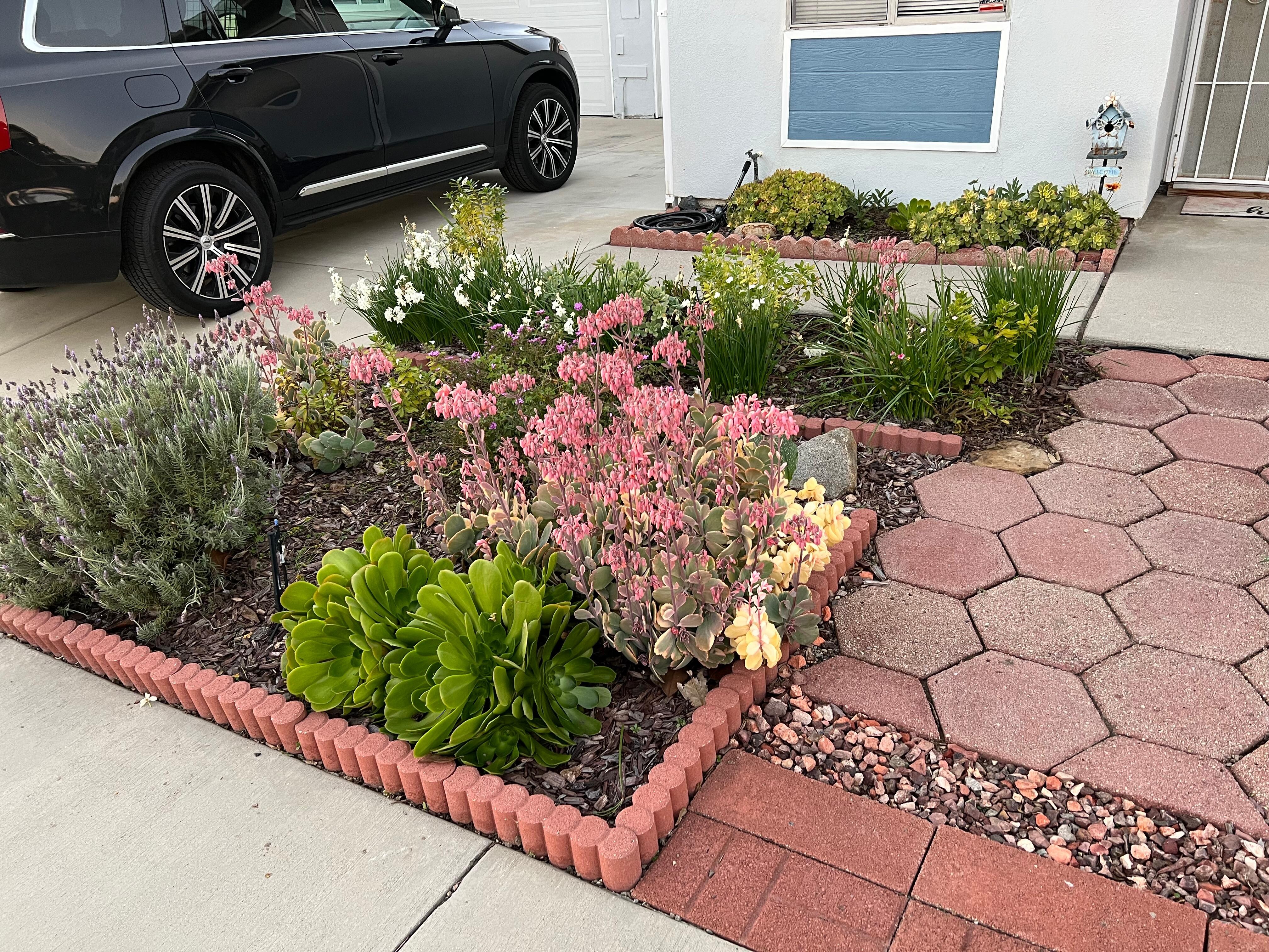 Landscaping in front was pretty and attracted butterflies