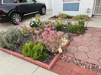 Landscaping in front was pretty and attracted butterflies