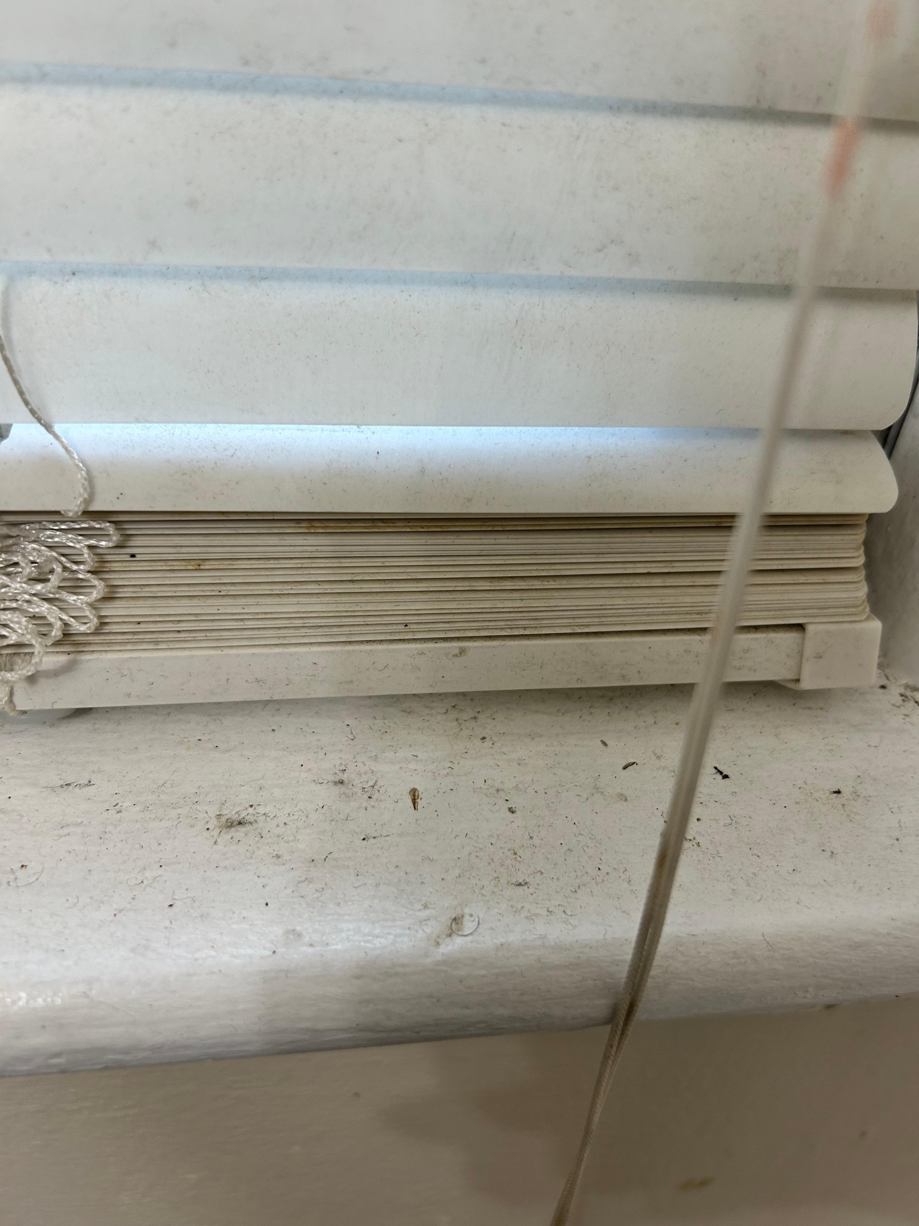 Dirty window sill in the master bathroom 