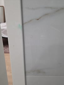 Toothpaste on the wall sauce on the door, and pubic hair on floor, in shower and on the toilet